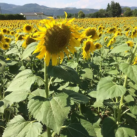Casa vacanze La Forge, Chirols, Ardeche