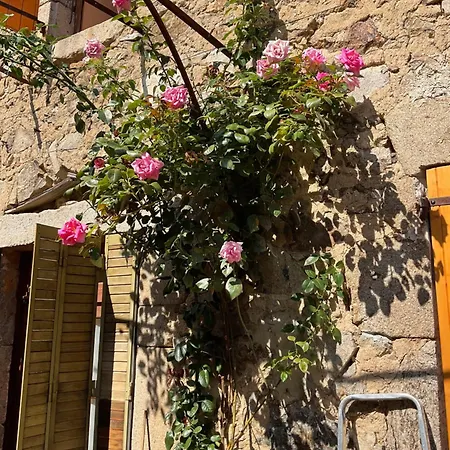 La Forge, Chirols, Ardeche Casa vacanze *
